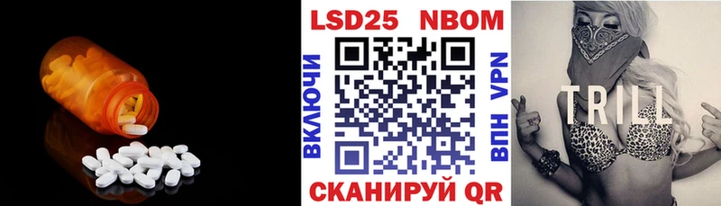 Купить закладки  Новотитаровская  Лсд 25 экстази кислота 