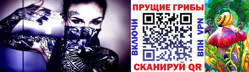 Псилоцибиновые грибы MAGIC MUSHROOMS Купить Новотитаровская