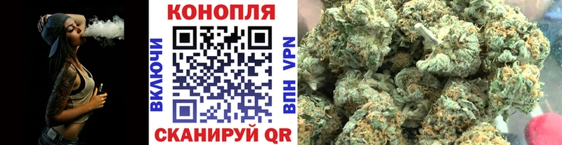 Купить где  Новотитаровская  Бошки марихуана семена 